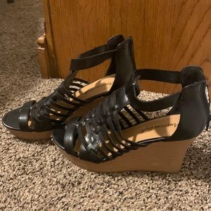 American Eagle Wedges